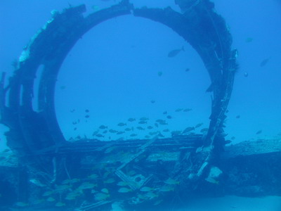 Any colour is ok as long as it's blue